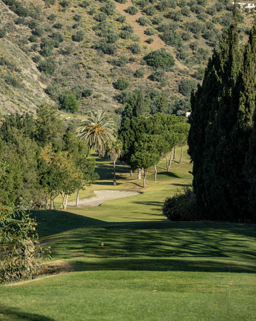 Añoreta Golf Course 13