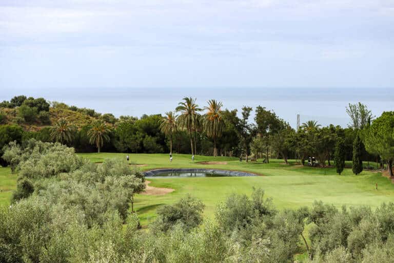 Añoreta Golf Course 8