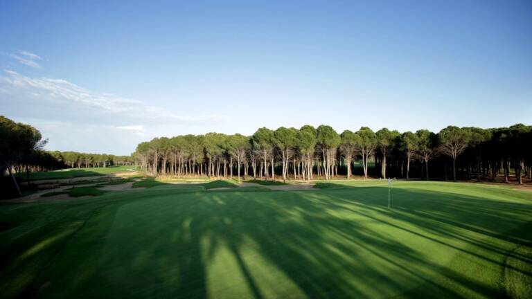 Montgomerie Golf Club (12)