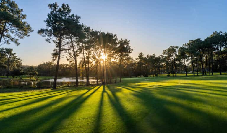 Aroeira Pines Classic - hole 15